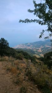 Banyuls-sur-mer